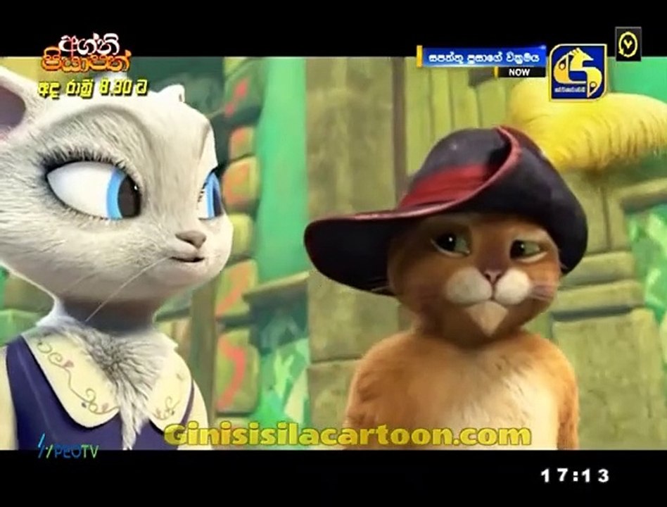PUSS 01