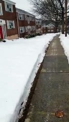 GANDA NG SNOW