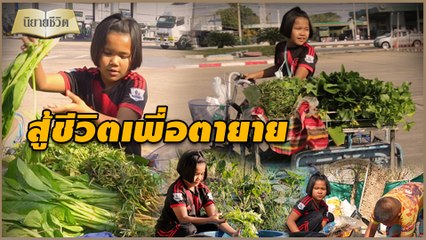 นิยายชีวิต | 'น้องใบหยก'สู้ชีวิตเพื่อตายาย ปั่นรถขายผักไม่อายทำกิน | Dailynews