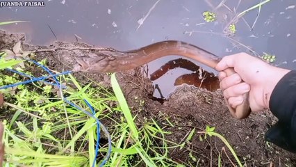Nekat Bener Nih Orang.. Coba Pancingi Sebuah Lubang Super Besar Dan Lihat Yang Terjadi Selanjutnya