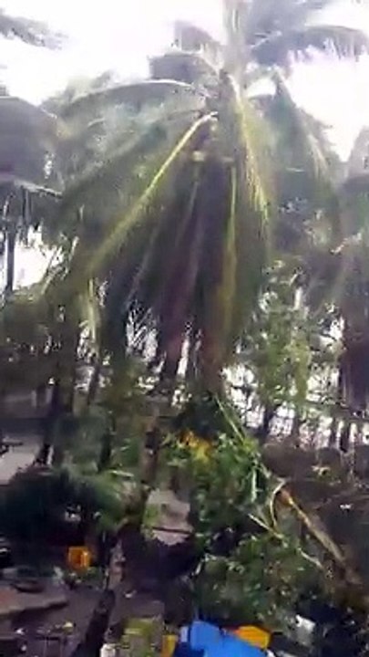 Typhoon...oh no...