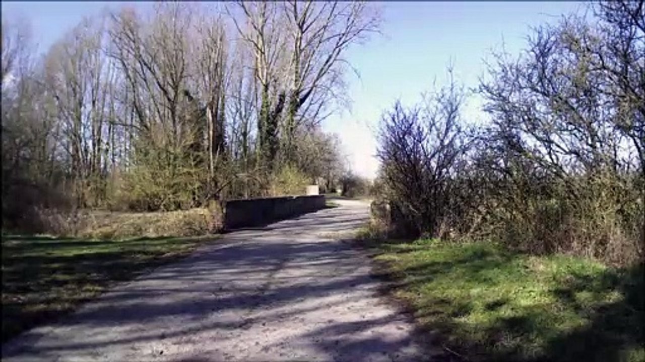 nature au fort de dunkerque petite synthe