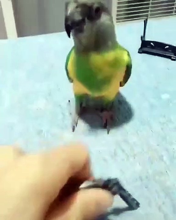 Wow