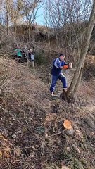 Grosse journée de travail , avec notre bûcheron en chef Jean luc . La classe