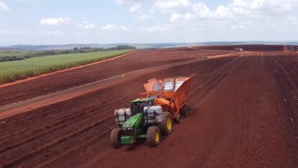 البرازيل.. كاميرا الجزيرة ترصد تفاصيل العمليات الزراعية ومراحل الإنتاج