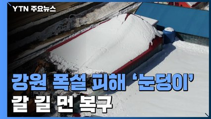 폭설로 농업시설 피해 '눈덩이'...갈 길 먼 복구 / YTN
