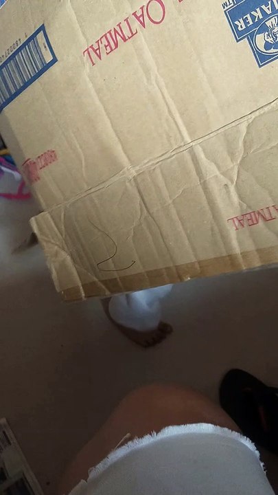 Hiding in box