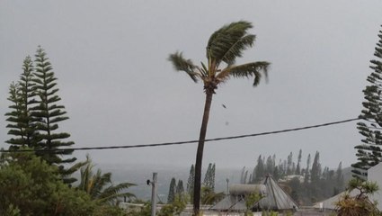 New Caledonia rocked by Cyclone Niran's strong winds
