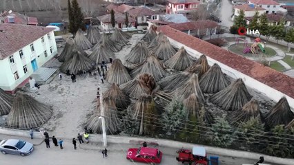 Özel Şirket Tohumları Aldı, Sapları Üreticinin Elinde Kaldı