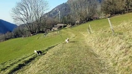 Le chemin du torrent avec le soleil