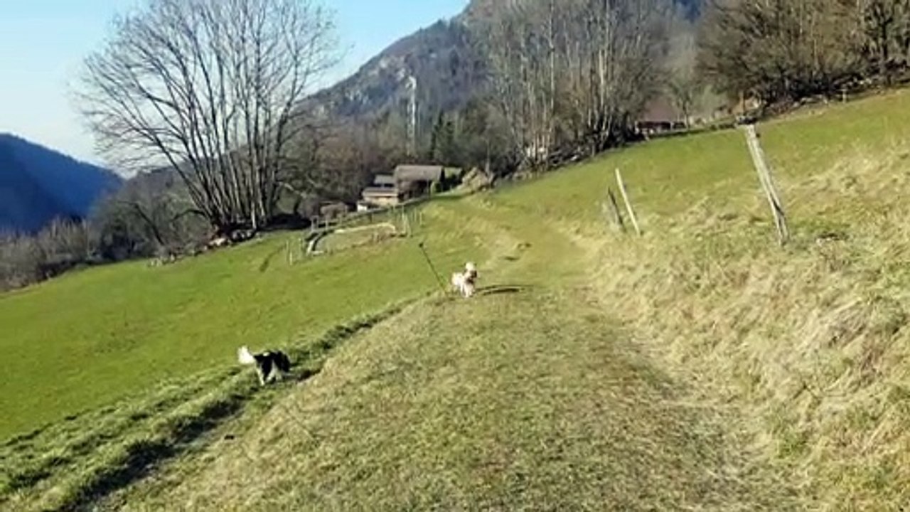 Le chemin du torrent avec le soleil