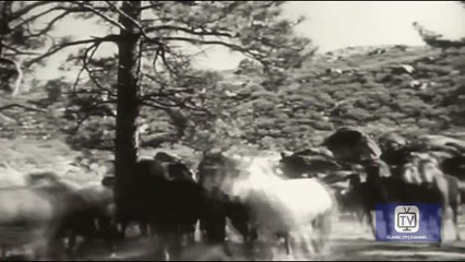 Fury - Season 1 - Episode 15 - Joey Sees it Through | Peter Graves, William Fawcet