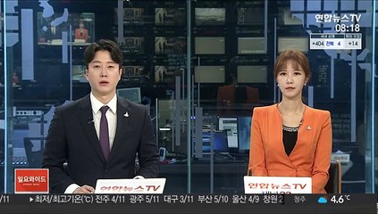 美 상원, 초대형 부양법안 통과…조만간 하원 표결