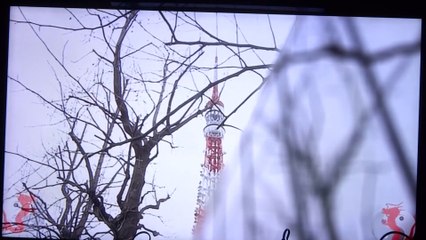 DSの拠点　東京タワー　