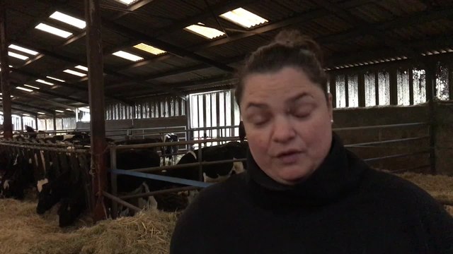 Rencontre avec Gaelle Vuillemin, éleveuse aux Croûtes