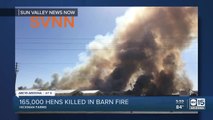 165,000 laying hens die in massive fire at Hickman's Egg Farm in Tonopah