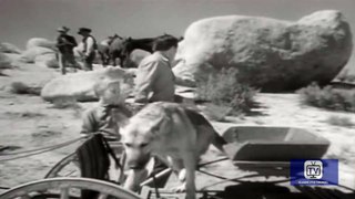 Adventures of Champion - Season 1 - Episode 7 - Canyon of Wanted Men | Champion, Barry Curtis