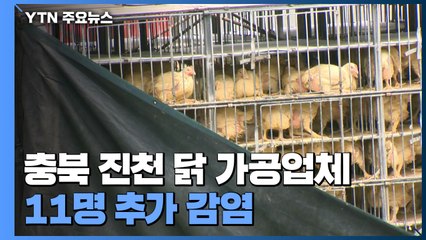 충북 진천 닭 가공업체 11명 추가 감염...누적 확진 36명 / YTN
