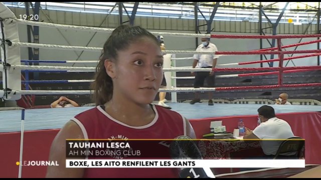 Boxe, les aito renfilent les gants