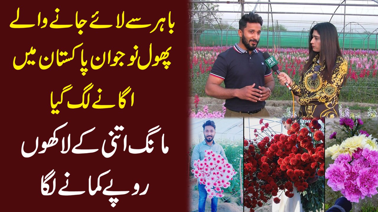 Bahir se laye janay walay phool nojwan Pakistan mei he uganay lag gya, maang itni k lakho ropay kamanay laga