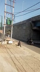 Miyanwala chowk Fly Over , Build Recently Showing All Different  Roads