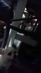 #52 NEW YEARS EVE PARTY