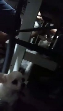 #52 NEW YEARS EVE PARTY