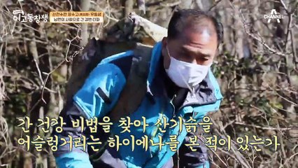 간 건강 되찾은 우등생의 비결★ 남편 사랑 담긴 '엉겅퀴'