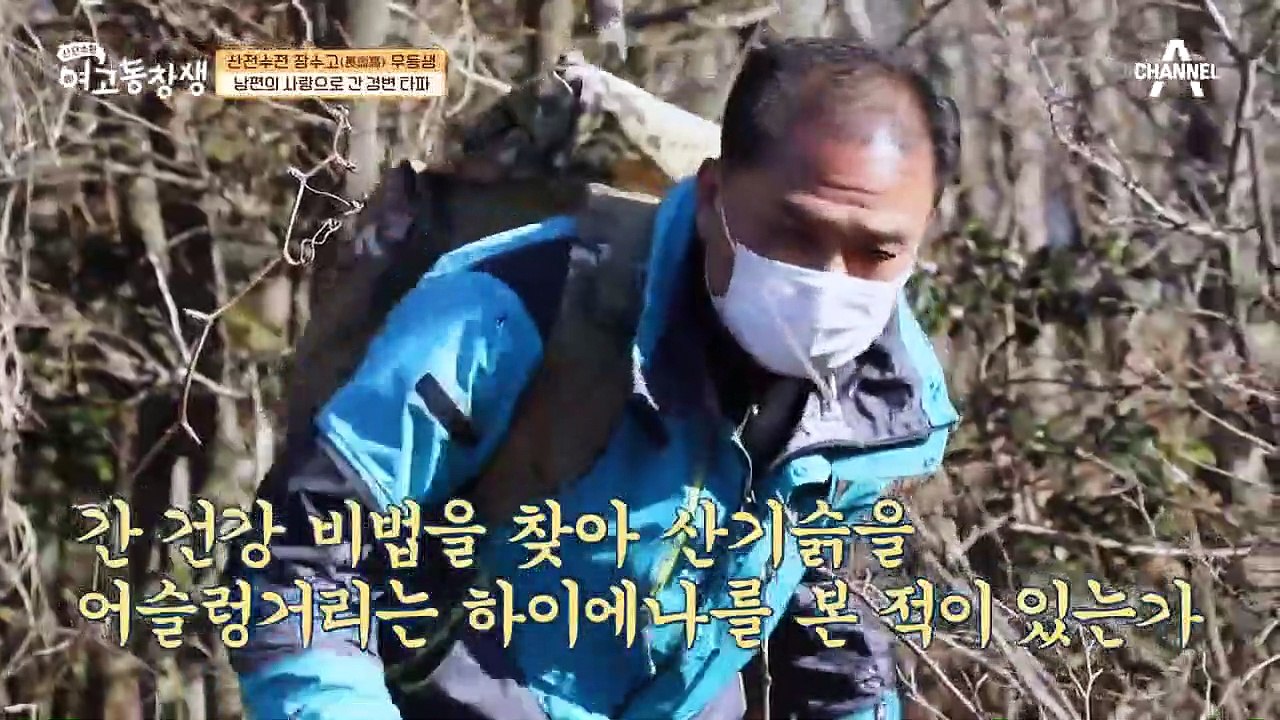 간 건강 되찾은 우등생의 비결★ 남편 사랑 담긴 '엉겅퀴'