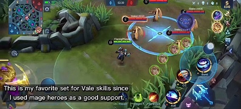 Vale Support Skill Set