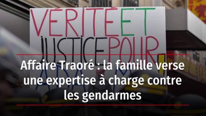 Affaire Traoré : la famille verse une expertise à charge contre les gendarmes