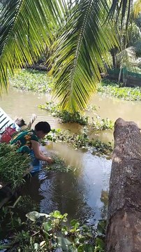 Mother in-law and mother in-law