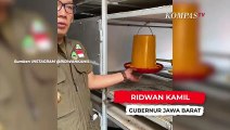 Ridwan Kamil Kenalkan Apartemen Ayam 4.0 Untuk Program Petani Milenial