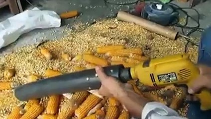 Mısır tanelerini bakın nasıl ayıklıyor?