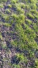 LA JEUNESSE GONDREVILLOISE ET LEURS PARENTS NE COMPRENNENT PAS ? ( LE STADE NOIREL EST A L ABANDON - 07 / 03 / 2021 )