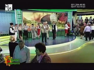 Nicolae Martin - A naibii de noapte mica  (Petrecere romaneasca - Tvh - 26.10.2013)