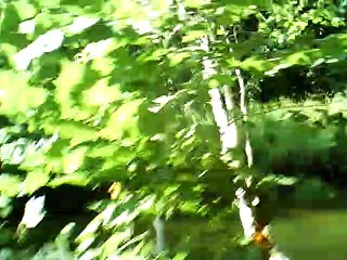 Miss McCleod's reel harmonica c and balalaika