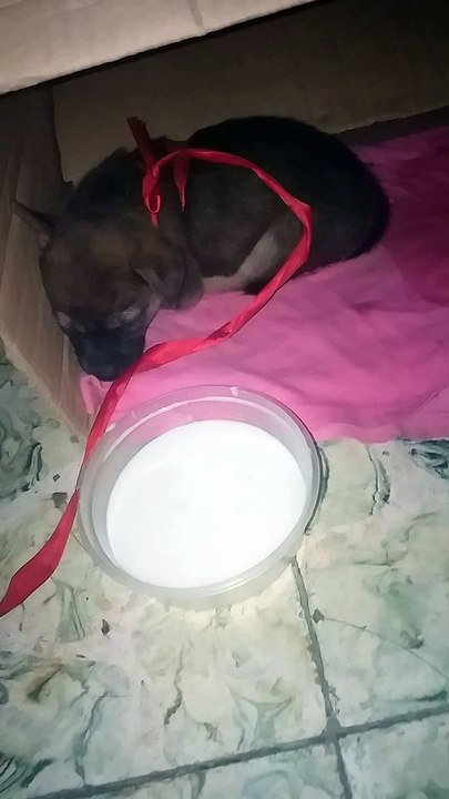 Meet Miya
