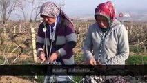 Alaşehir Belediyesi'nden 'Kadınlar Günü'ne özel klip