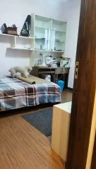 The Dog makes His Own Bed