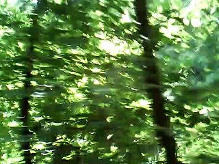 Miss McCleod's reel harmonica g