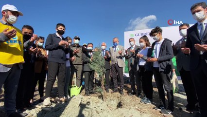 GÜBRETAŞ, Hatay'da yanan ormanlık alanlara fidan dikti
