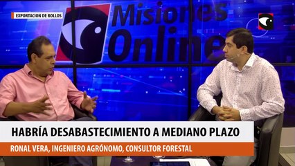 Podría haber desabastecimiento de madera a mediano plazo