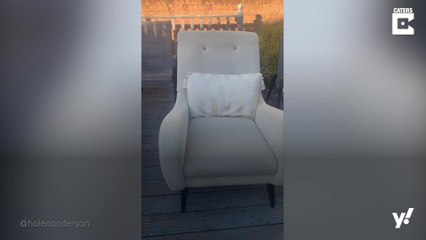 So geht's: Ein eigenes Kino im Garten