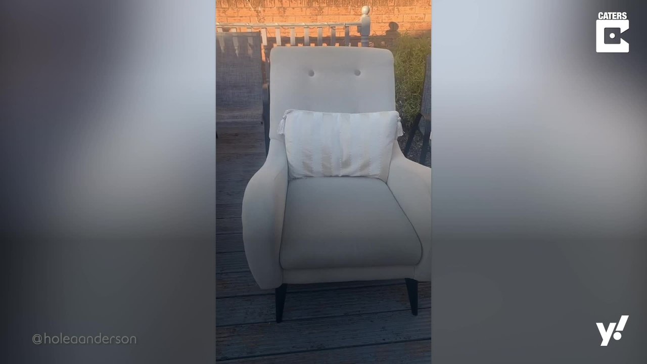 So geht's: Ein eigenes Kino im Garten