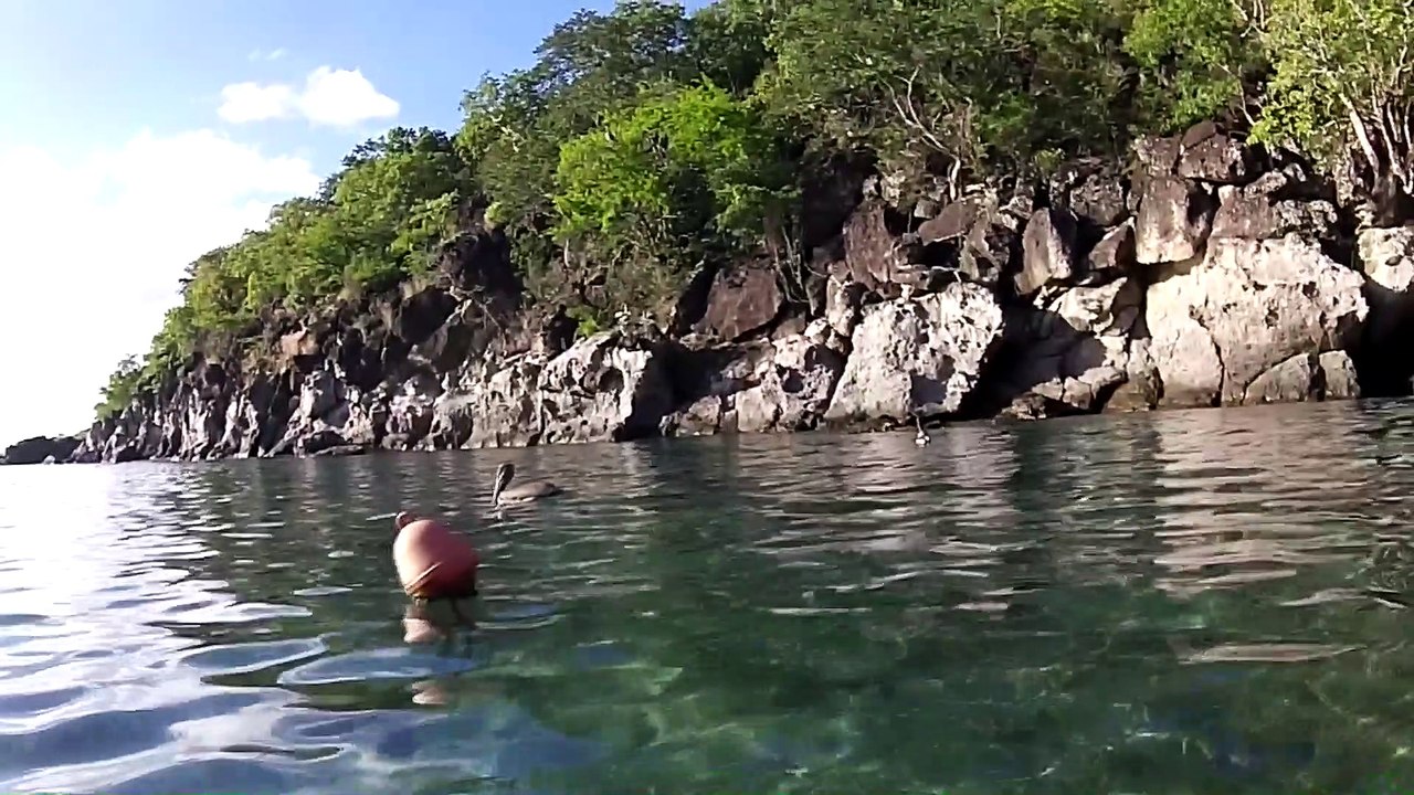 Guadeloupe Pointe noire Petite anse