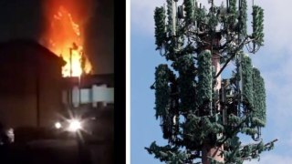 Large 5G Cell Tower  As A Tree Is On Fire In Los Angeles – Nearby Apartment Evacuating
