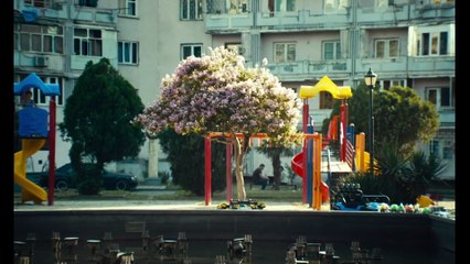 What Do We See When We Look at the Sky Movie (2021)