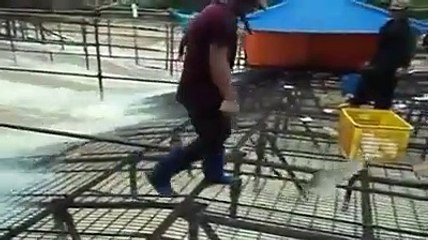 Balık böyle yakalanır