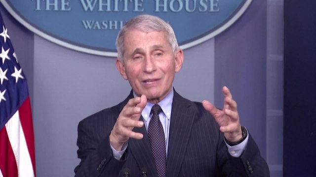 파우치 미국 고교생은 올 가을, 초등학생은 내년 1분기 코로나19 백신 접종 / YTN